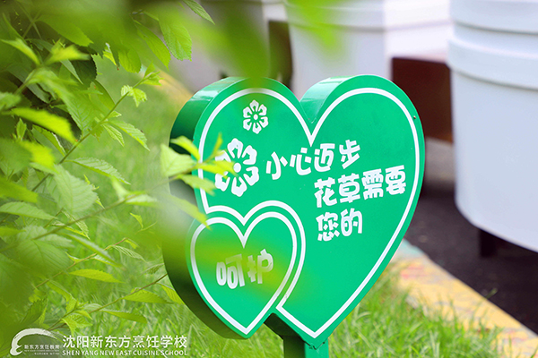 校园四季 | 凝盼春归近，聚回新东方