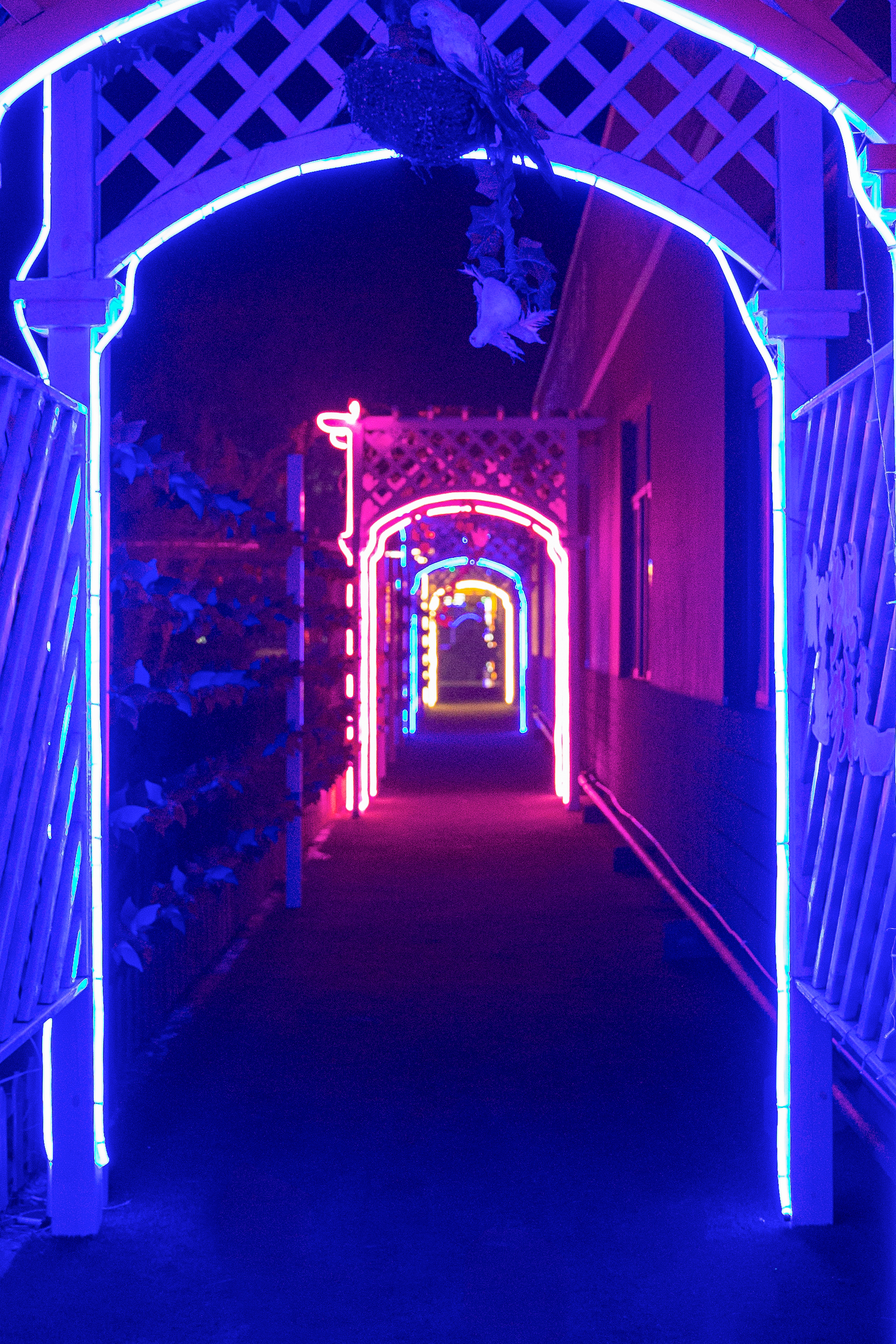 ' width=
